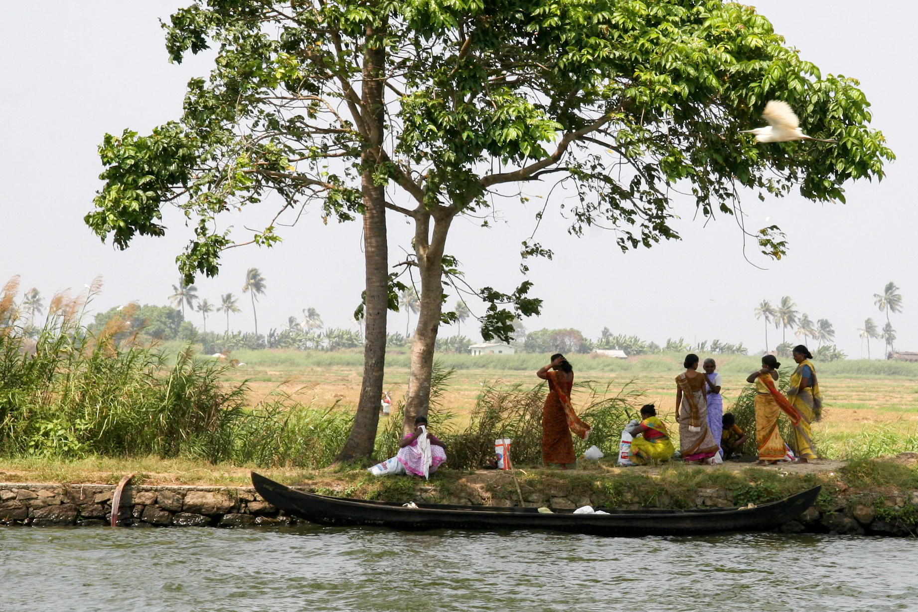 kerala-backwaters