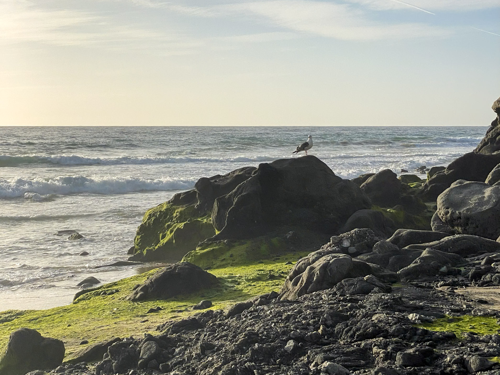 laguna-beach-california