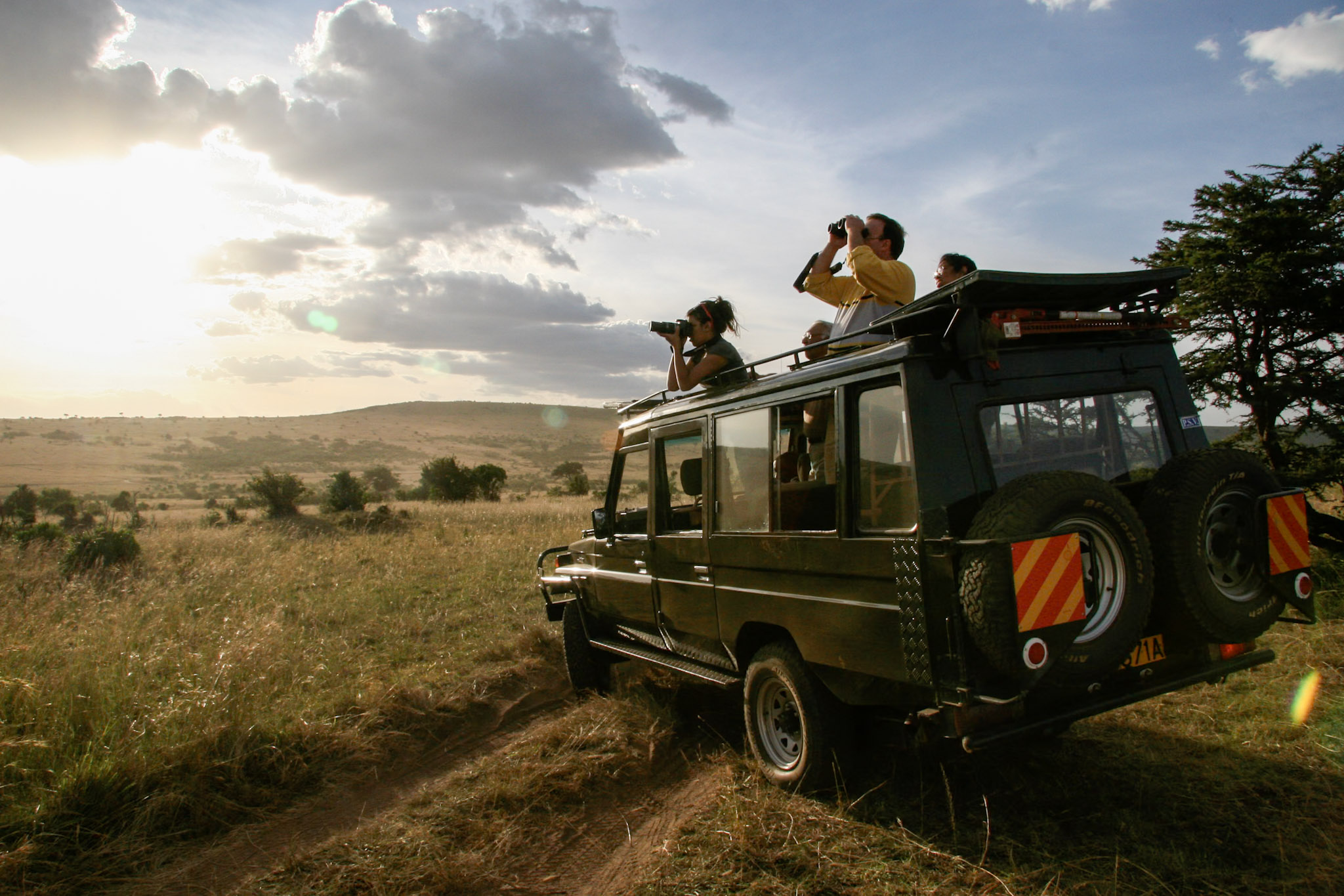 masai-mara
